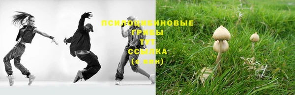 экстази Ладушкин