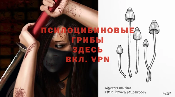 прущая мука Лиски