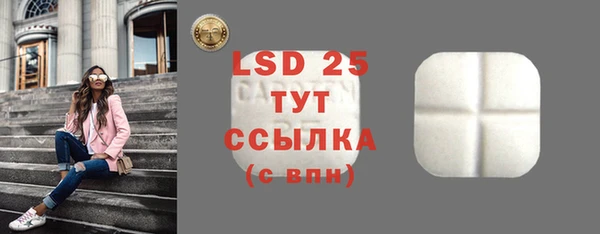 PSILOCYBIN Липки