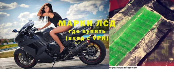 PSILOCYBIN Липки