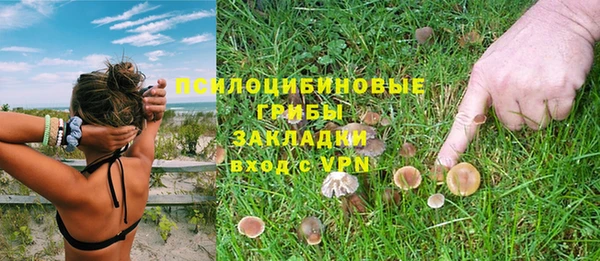экстази Ладушкин