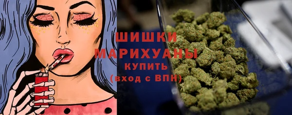 PSILOCYBIN Липки